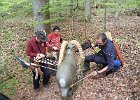 DSCN3342