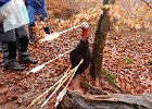 DSCN1678