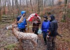 DSCN1684