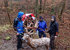 DSCN1685