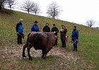 DSCN1708