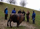 DSCN1709