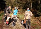 DSCN4733