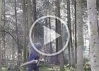 DSCN4755